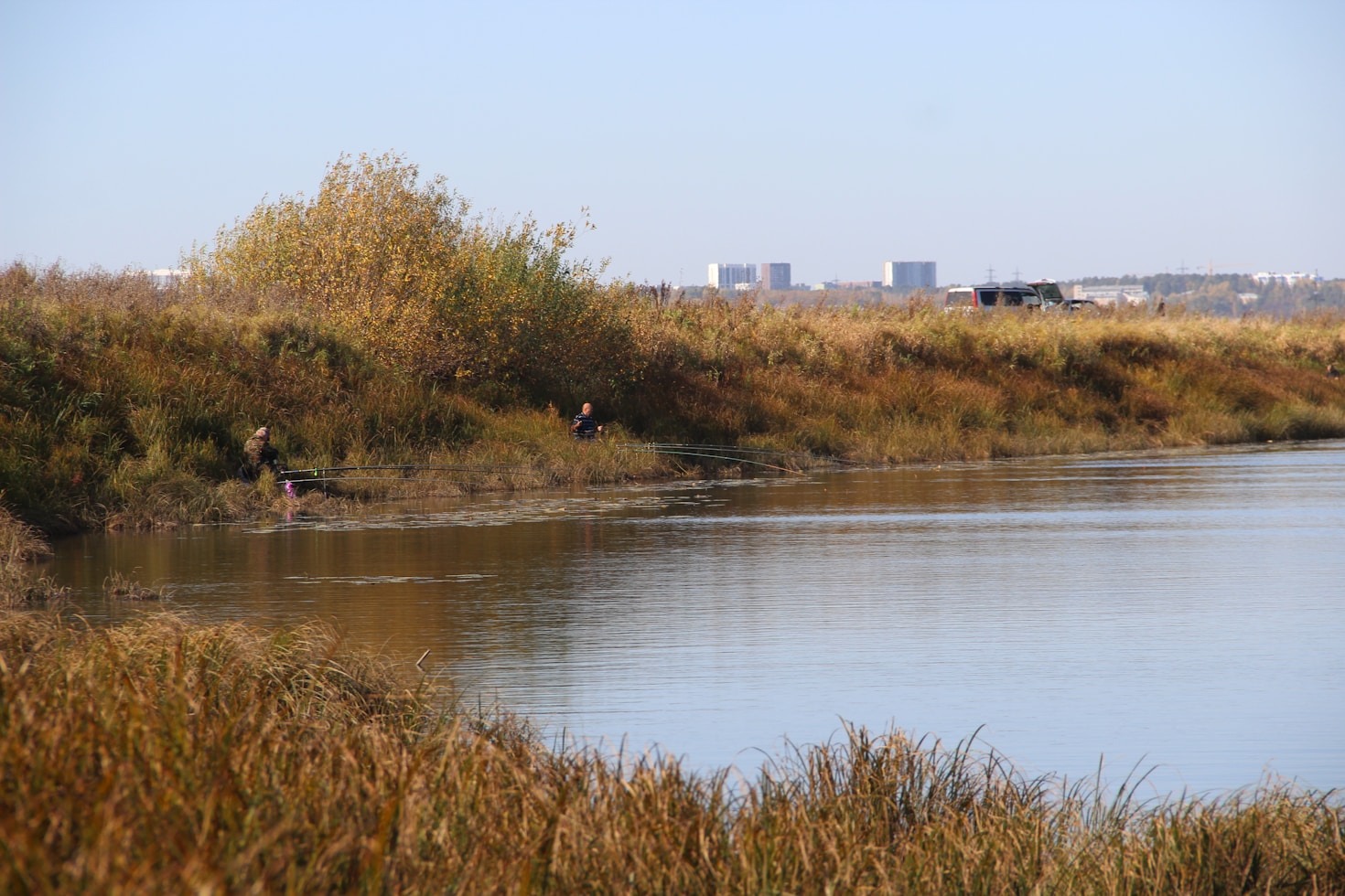Top Tips for Beginners in Coarse Angling